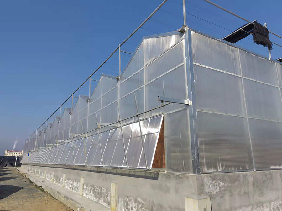陽光板溫室
