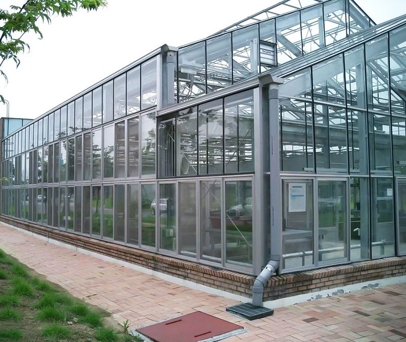 解析玻璃溫室大棚的優(yōu)點及用途